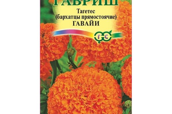 Кракен сайт ссылки актуальные