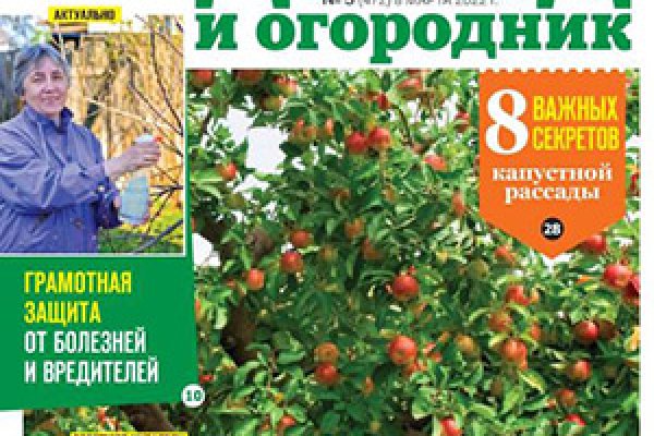 Кракен шоп что это