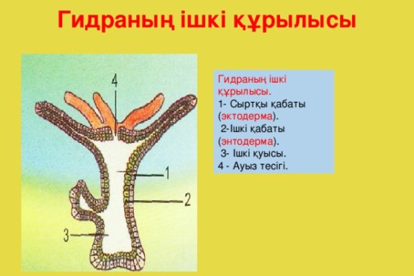 Kraken вход kraken torion